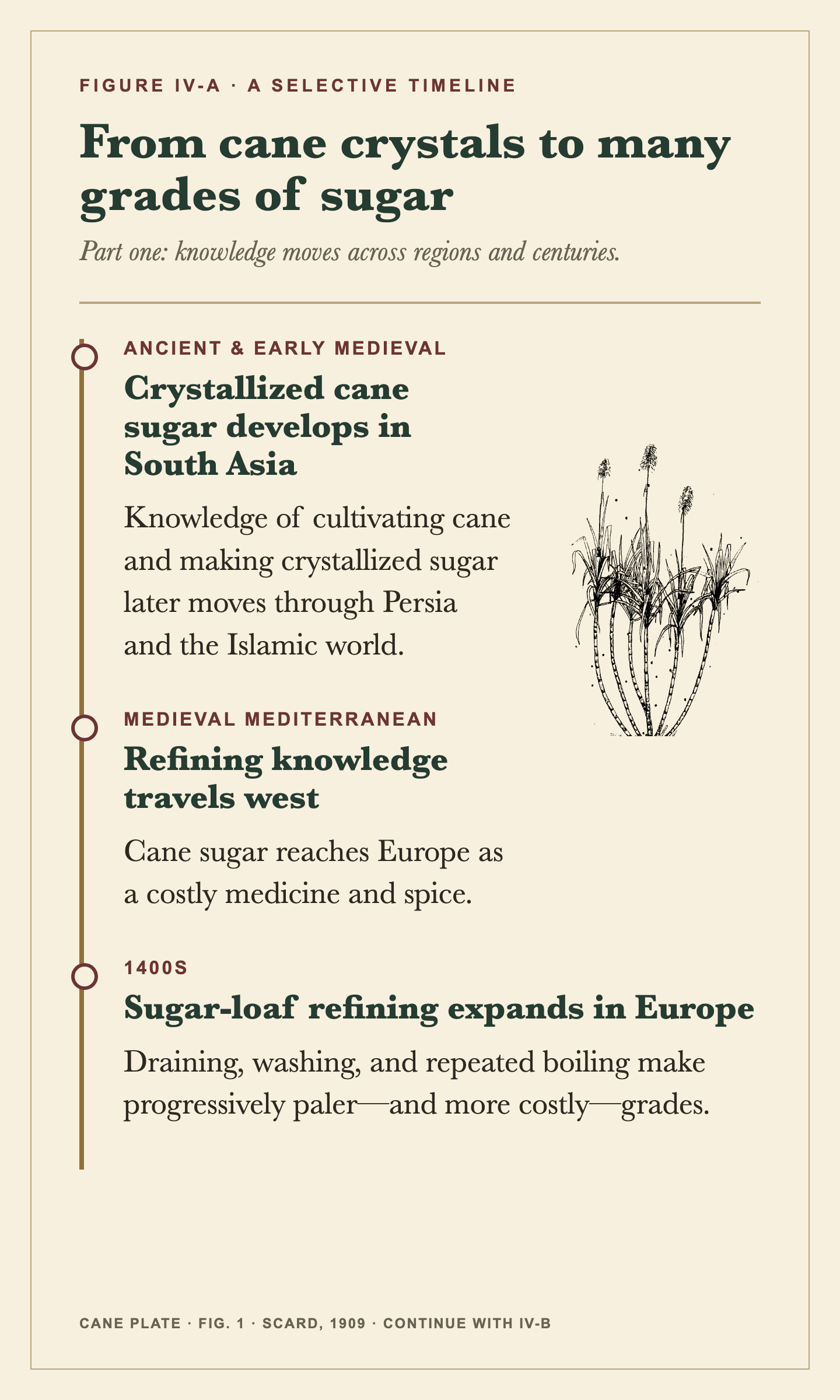 A botanical timeline tracing crystallized cane sugar in South Asia, refining knowledge moving west, and sugar-loaf refining expanding in Europe.